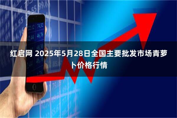 红启网 2025年5月28日全国主要批发市场青萝卜价格行情