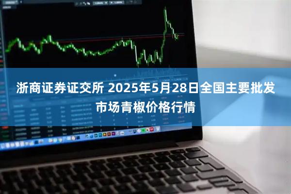 浙商证券证交所 2025年5月28日全国主要批发市场青椒价格行情