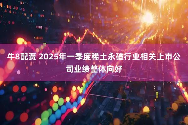 牛8配资 2025年一季度稀土永磁行业相关上市公司业绩整体向好