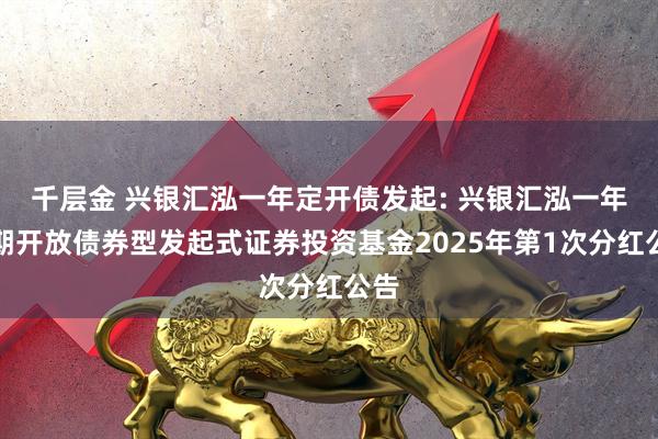 千层金 兴银汇泓一年定开债发起: 兴银汇泓一年定期开放债券型发起式证券投资基金2025年第1次分红公告