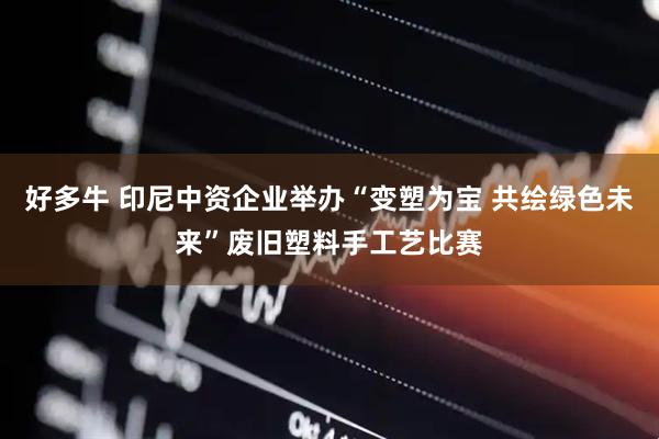 好多牛 印尼中资企业举办“变塑为宝 共绘绿色未来”废旧塑料手工艺比赛