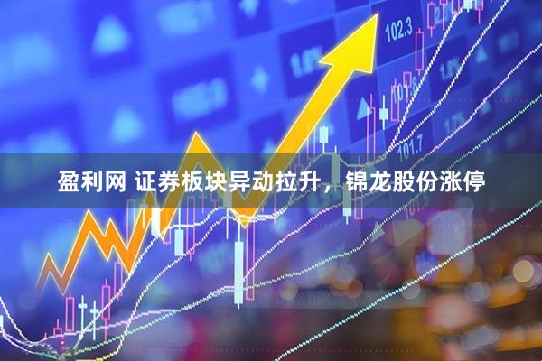 盈利网 证券板块异动拉升，锦龙股份涨停