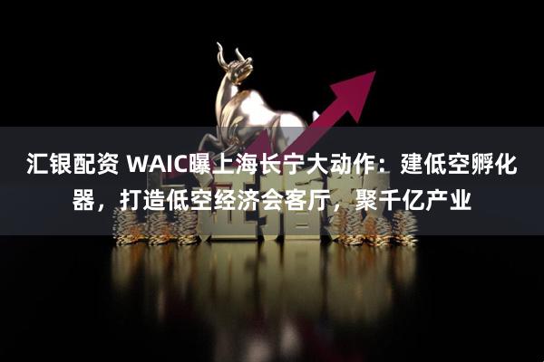 汇银配资 WAIC曝上海长宁大动作：建低空孵化器，打造低空经济会客厅，聚千亿产业