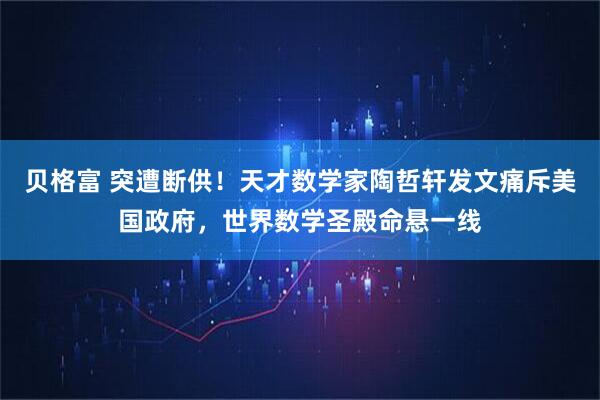 贝格富 突遭断供！天才数学家陶哲轩发文痛斥美国政府，世界数学圣殿命悬一线