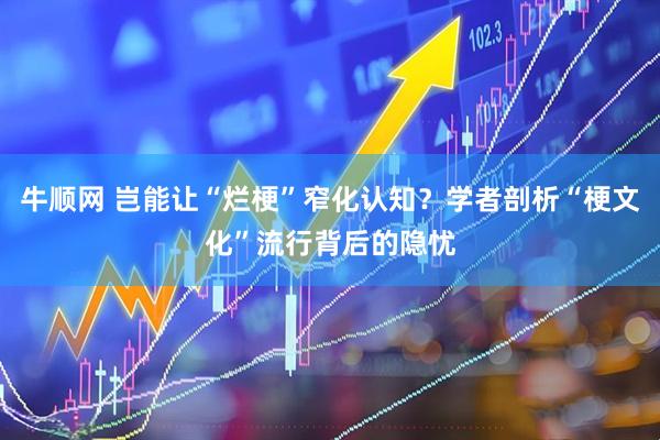 牛顺网 岂能让“烂梗”窄化认知？学者剖析“梗文化”流行背后的隐忧