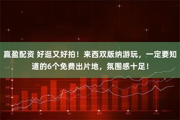赢盈配资 好逛又好拍！来西双版纳游玩，一定要知道的6个免费出片地，氛围感十足！