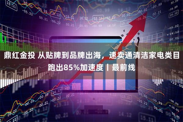 鼎红金投 从贴牌到品牌出海,速卖通清洁家电类目跑出85%加速度丨最前线